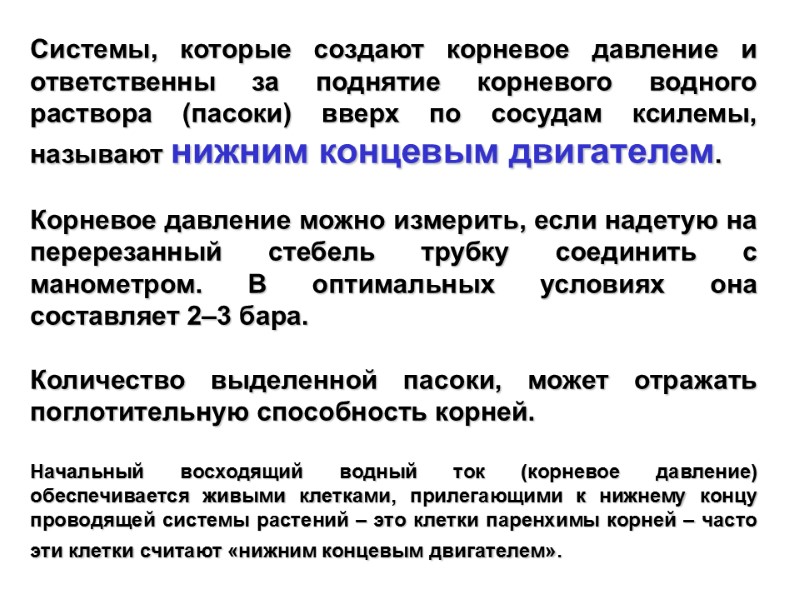 Системы, которые создают корневое давление и ответственны за поднятие корневого водного раствора (пасоки) вверх